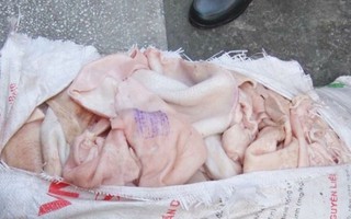 Bắt 1 tấn bì lợn thối chuyển từ Hà Nội vào Thanh Hóa tiêu thụ