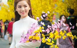 Diễn viên Lê Hạ Anh đẹp tinh khôi bên hoa mai, hoa đào