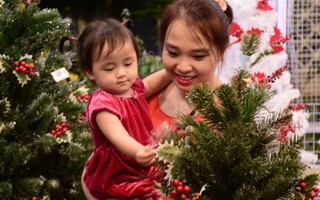 Khám phá sản phẩm mùa Noel trong khu vực nhà thờ ở Sài Gòn