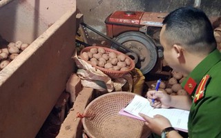 Trộn đất đỏ ‘lên đời’ cho khoai tây Trung Quốc ngay tại Chợ Nông sản Đà Lạt