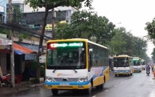 Đà Nẵng miễn phí 5 tuyến xe buýt trong 1 tháng