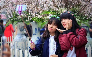 Hà Nội có 64 chợ hoa xuân Tết Nguyên đán 2019