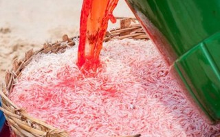 Kinh hãi ruốc biển Phú Yên được “làm đẹp” bằng hóa chất