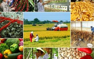 Nông nghiệp đặt mục tiêu xuất khẩu 43 tỷ USD