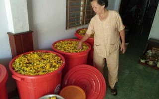 Người giúp phụ nữ kiếm tiền triệu từ rau già, vỏ trái cây