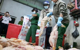 Hà Nội công bố 3 đường dây nóng 'tố' thực phẩm bẩn