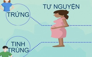 Nhờ người mang thai hộ có thể bị phạt 5 năm tù