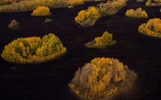  Đẹp mê hồn vùng Siberia giữa thu