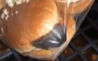 Kinh hãi phát hiện chuột sống trong túi bánh burger 
