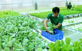 ASEAN sắp có tiêu chuẩn chung về thực phẩm hữu cơ