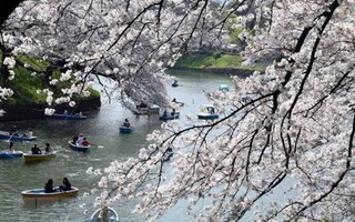 Nhật Bản bắt đầu thực hiện thu thuế du lịch quốc tế