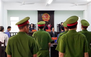 Tuyên phạt bị cáo Nguyễn Hữu Linh 18 tháng tù giam 