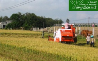 Phụ nữ Thái Bình tích cực tham gia xây dựng nông thôn mới