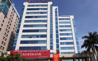 Agribank ước lãi trước thuế hơn 6.000 tỷ đồng 10 tháng đầu năm 2018
