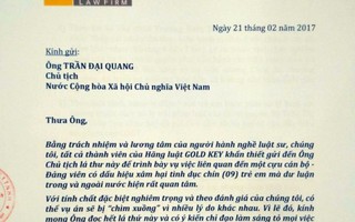 Gửi thư tới Chủ tịch nước về vụ xâm hại trẻ em ở Vũng Tàu