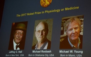 3 tiến sĩ giải mã đồng hồ sinh học cơ thể giành giải Nobel Y học 2017
