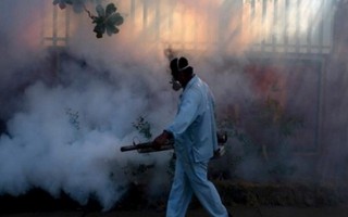 TP HCM công bố dịch Zika cấp phường
