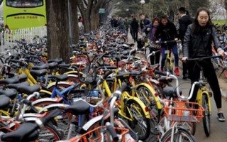Xe đạp tràn ngõ ngách, Bắc Kinh ra lệnh cấm