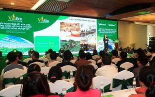 Hợp tác với Vineco, hơn 800 hộ nông dân tham gia chuỗi sản xuất nông sản sạch
