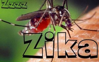 TP.HCM công bố dịch bệnh Zika