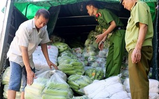 Tiêu hủy 3,8 tấn rau, củ xuất xứ Trung Quốc