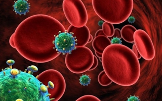 Tìm virus HIV và tiêu diệt