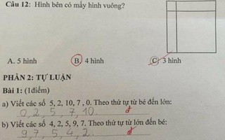 Bài toán đếm hình vuông khiến các mẹ tranh cãi nảy lửa