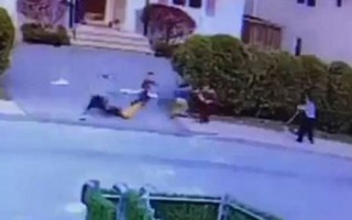 Kinh hoàng cảnh chó pit bull tấn công bé trai giữa đường
