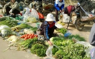 Giá rau xanh Hà Nội tăng vọt sau Tết