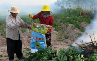 Tây Ninh: Xây dựng nông thôn mới từ “chìa khóa” không đói nghèo