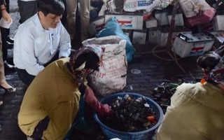450 dân làng nghề tái chế chì được thải độc