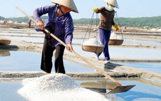 Muối ăn tại các tỉnh miền Trung đều an toàn