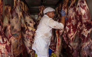 Quyết định tạm ngừng nhập khẩu thịt từ Brazil