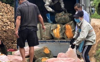 3 tấn nầm lợn được gom từ Lạng Sơn để đưa về Hà Nội tiêu thụ