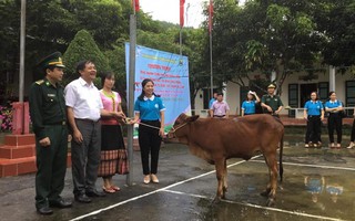 Trao tặng bò giống nhân niềm vui cho hội viên, phụ nữ vùng biên giới Cao Vều