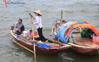 Những bóng hồng một mình ra khơi vào lộng