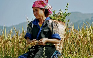 Cần cải thiện cuộc sống của phụ nữ nông thôn Việt Nam