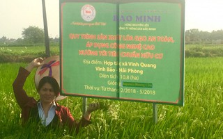 Tổng giám đốc Bùi Thị Hạnh Hiếu đau đáu với 40 thương hiệu gạo Việt