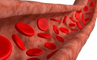 Áp dụng những biện pháp tự nhiên để ngăn ngừa cục máu đông
