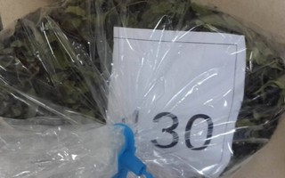 Gần 3 tấn thảo mộc tẩm ma túy tuồn vào Việt Nam