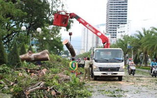 Thành phố Quy Nhơn tan hoang sau cơn bão số 5
