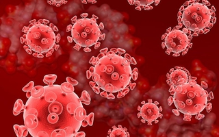 Trị ung thư máu bằng... virus HIV