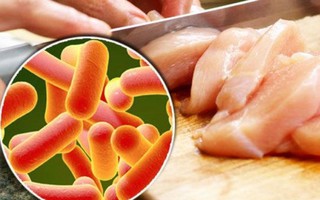 Czech lại phát hiện thịt gà nhập khẩu nhiễm khuẩn salmonella
