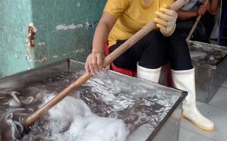 Những nghi vấn trong vụ bạch tuộc có chất Chloramphenicol ở Hà Nội