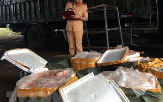 Thanh Hóa phát hiện xe tải vận chuyển 2,5 tấn thịt lợn bẩn
