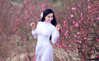 Ngọc nữ phim "Hoa cỏ may" hát "Yêu xa" đón Valentine