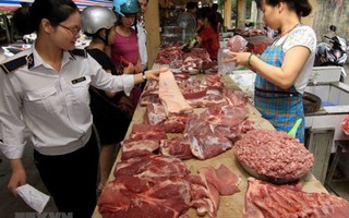 Cảnh báo rủi ro nếu tái đàn ồ ạt trước giá thịt lợn tăng mạnh