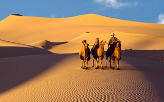 Sa mạc Gobi - dải đồng hoang đẹp cạn lời