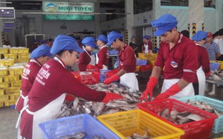TP.HCM hỗ trợ Bình Thuận tiêu thụ hải sản an toàn 