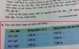 Phụ huynh 'bó tay' với bài tập Tiếng Việt lớp 5
